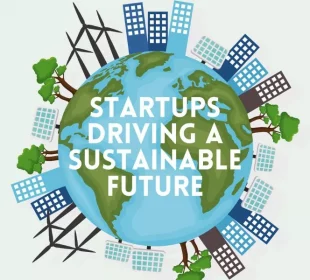 Sustainable Startup